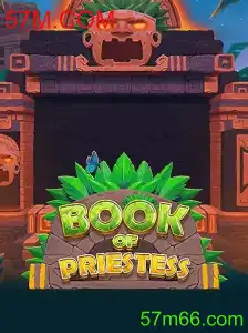 Descubra o Universo de BookOfPriestess: Um RPG Revolucionário
