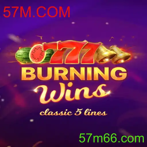 Descubra o Fascinante Jogo BurningWins